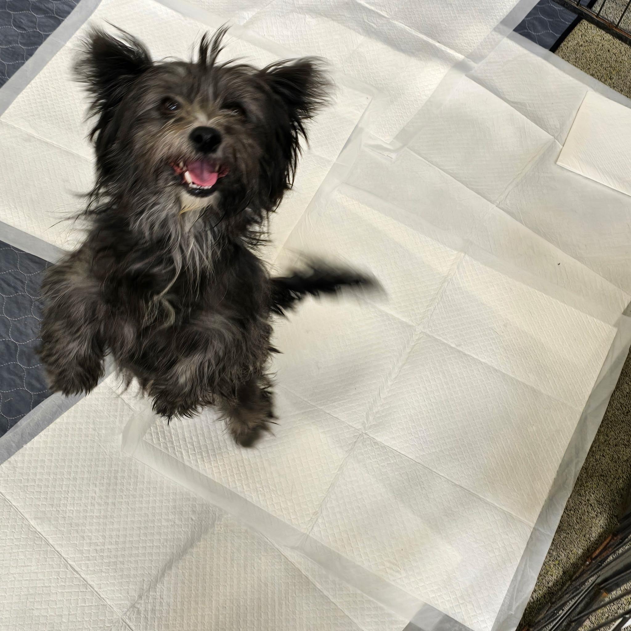 Carol (Mama) & Becky G. (Baby)