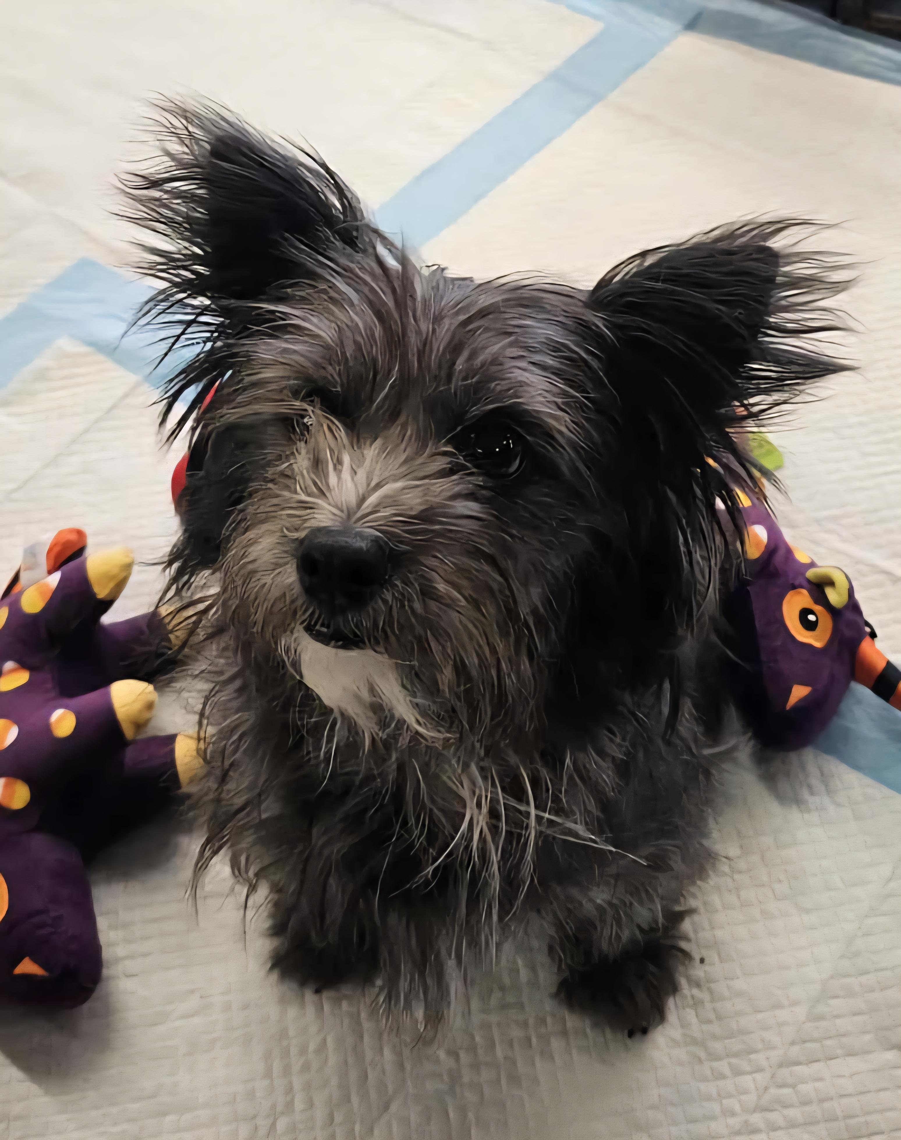 Carol (Mama) & Becky G. (Baby)