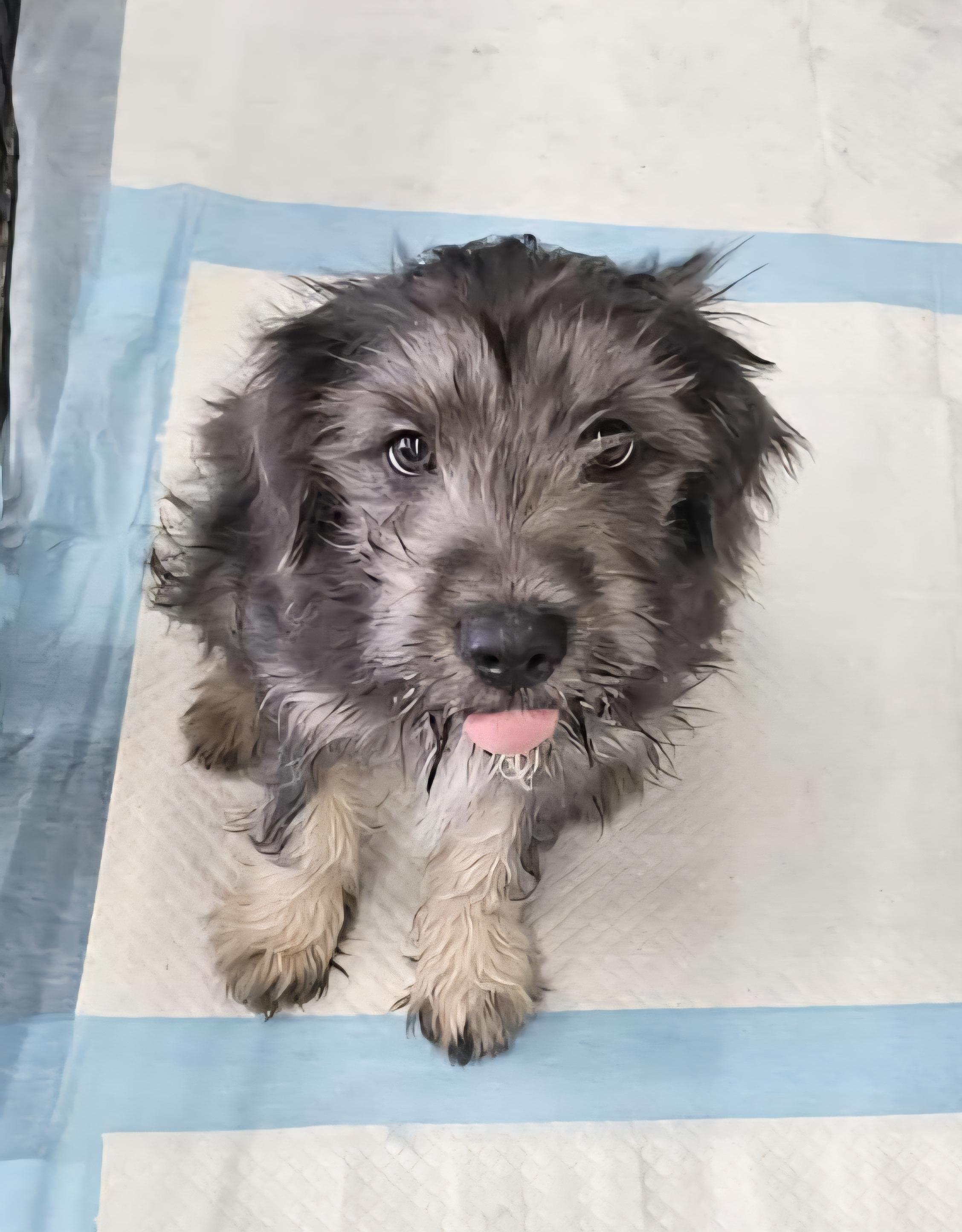 Carol (Mama) & Becky G. (Baby)