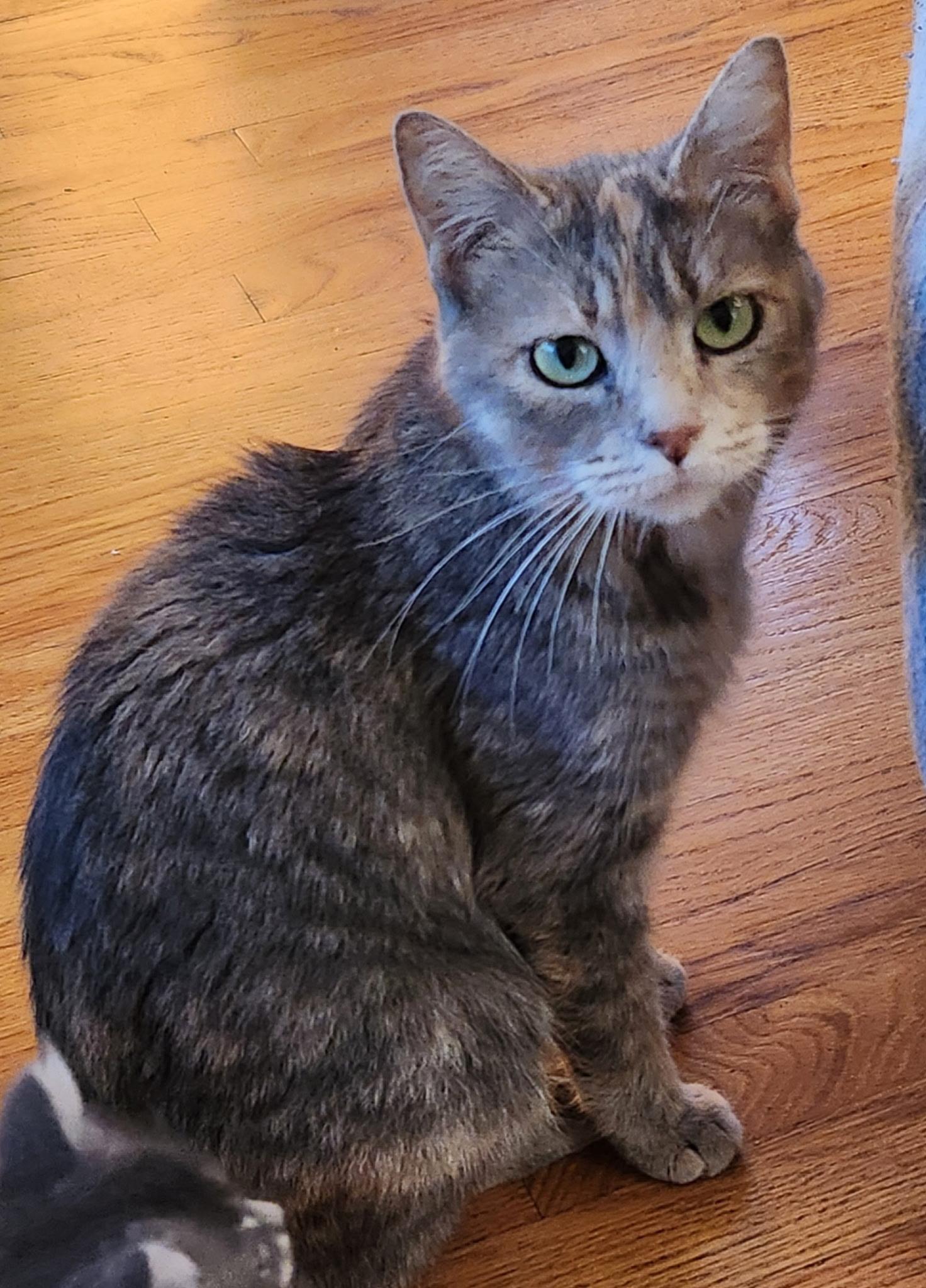 Ms. Mcdonald thumbnail 2