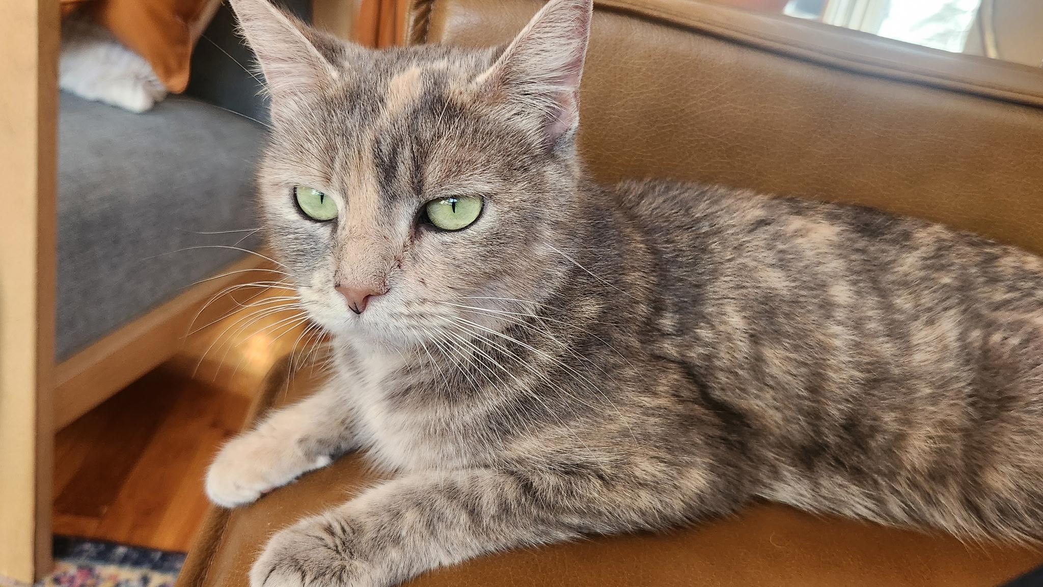 Ms. Mcdonald thumbnail 4