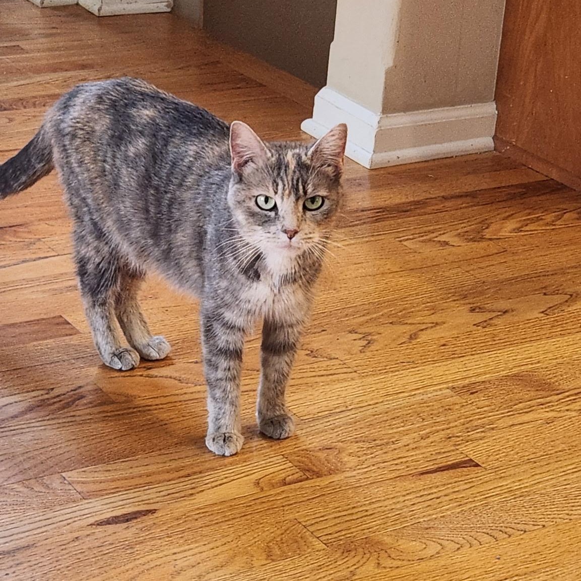 Ms. Mcdonald thumbnail 3