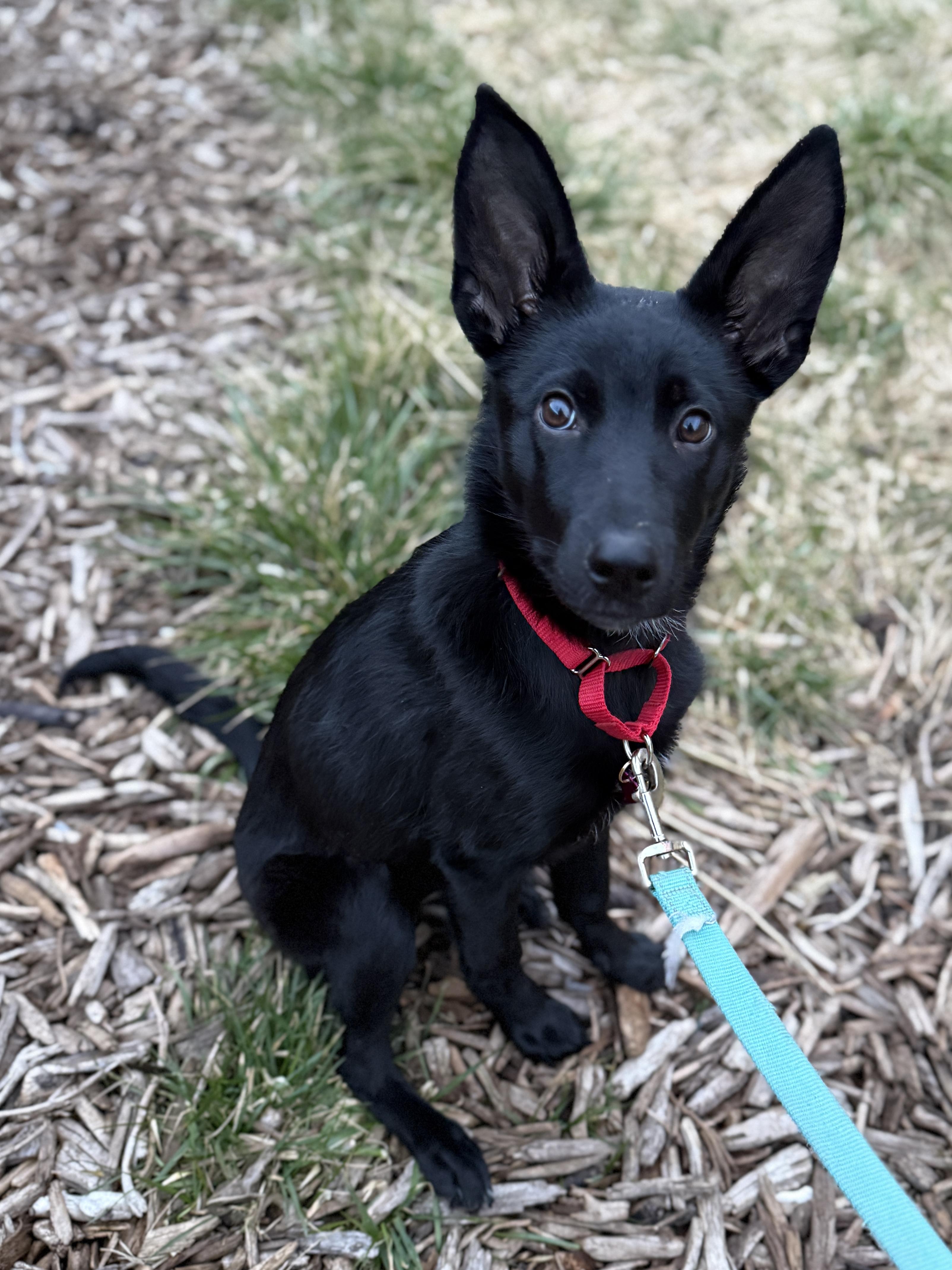 Froot — thumbnail 2