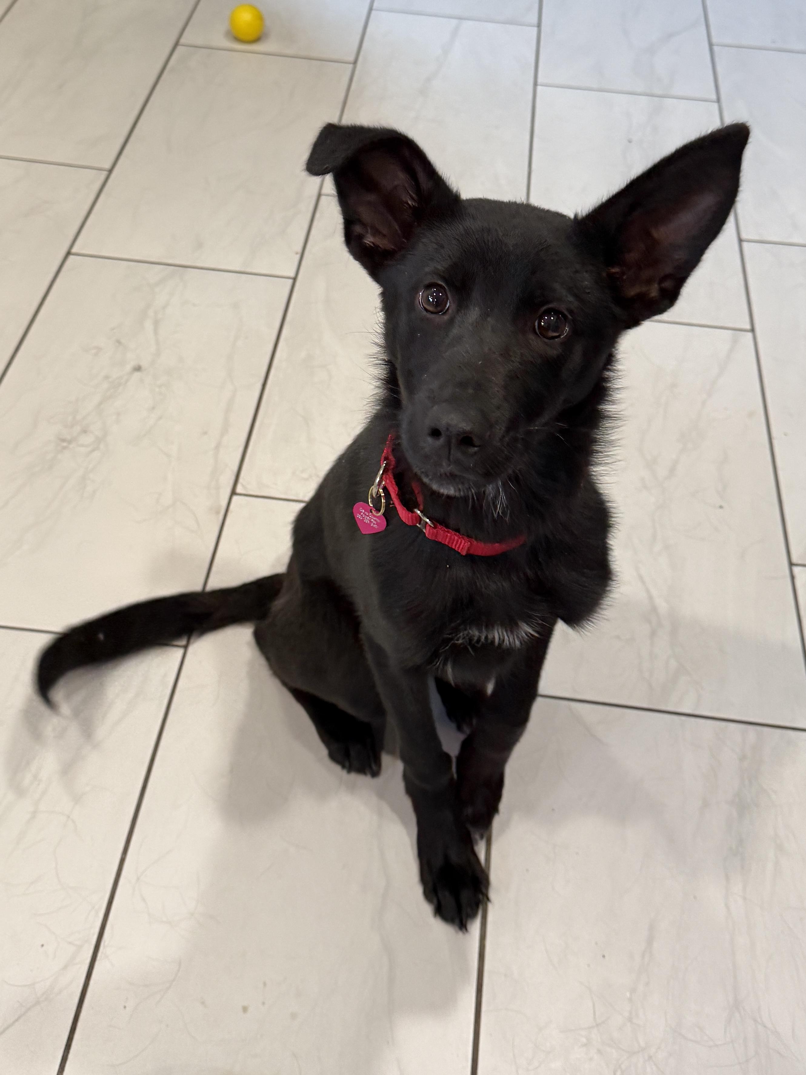 Froot — thumbnail 3