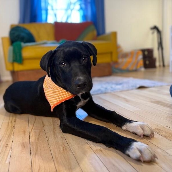 Elsa Frozen — thumbnail 2