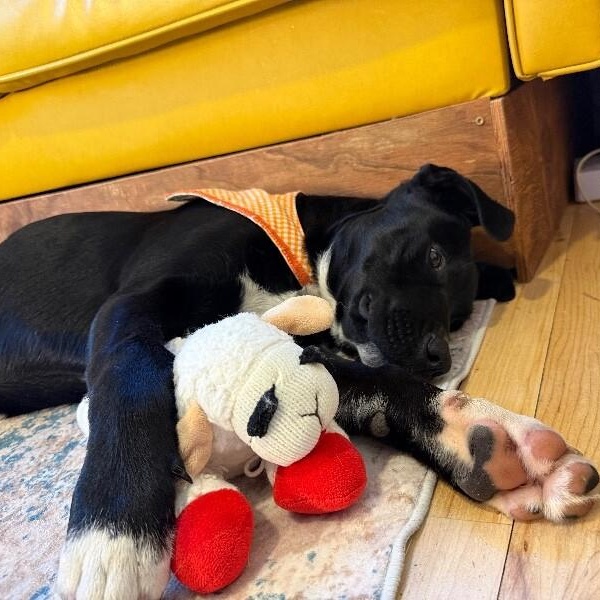 Elsa Frozen — thumbnail 4