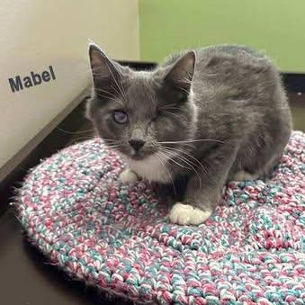 Mabel bonded w/Margot
