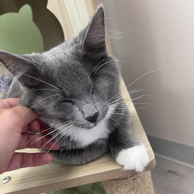 Mabel bonded w/Margot