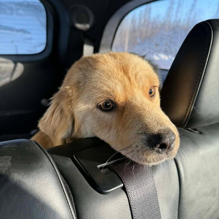 Rhea (20260128-05) — thumbnail 2