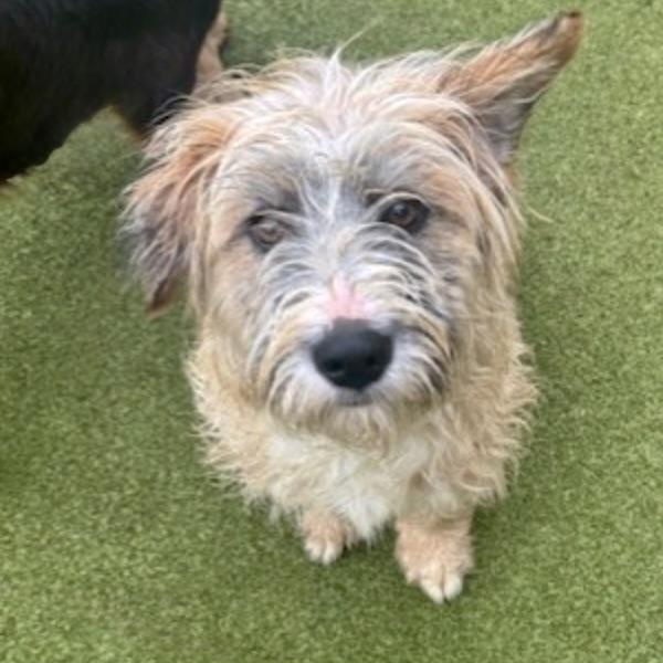 Portland thumbnail 2