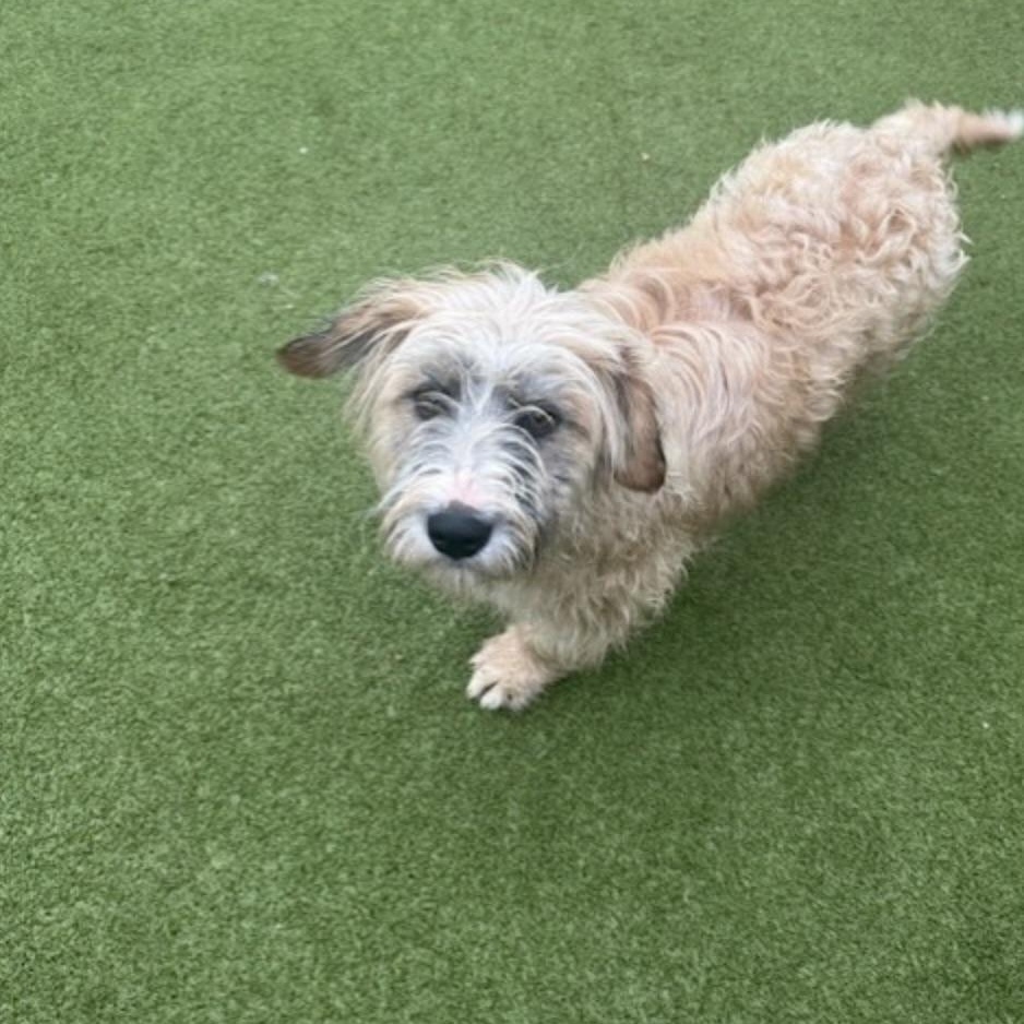 Portland thumbnail 5