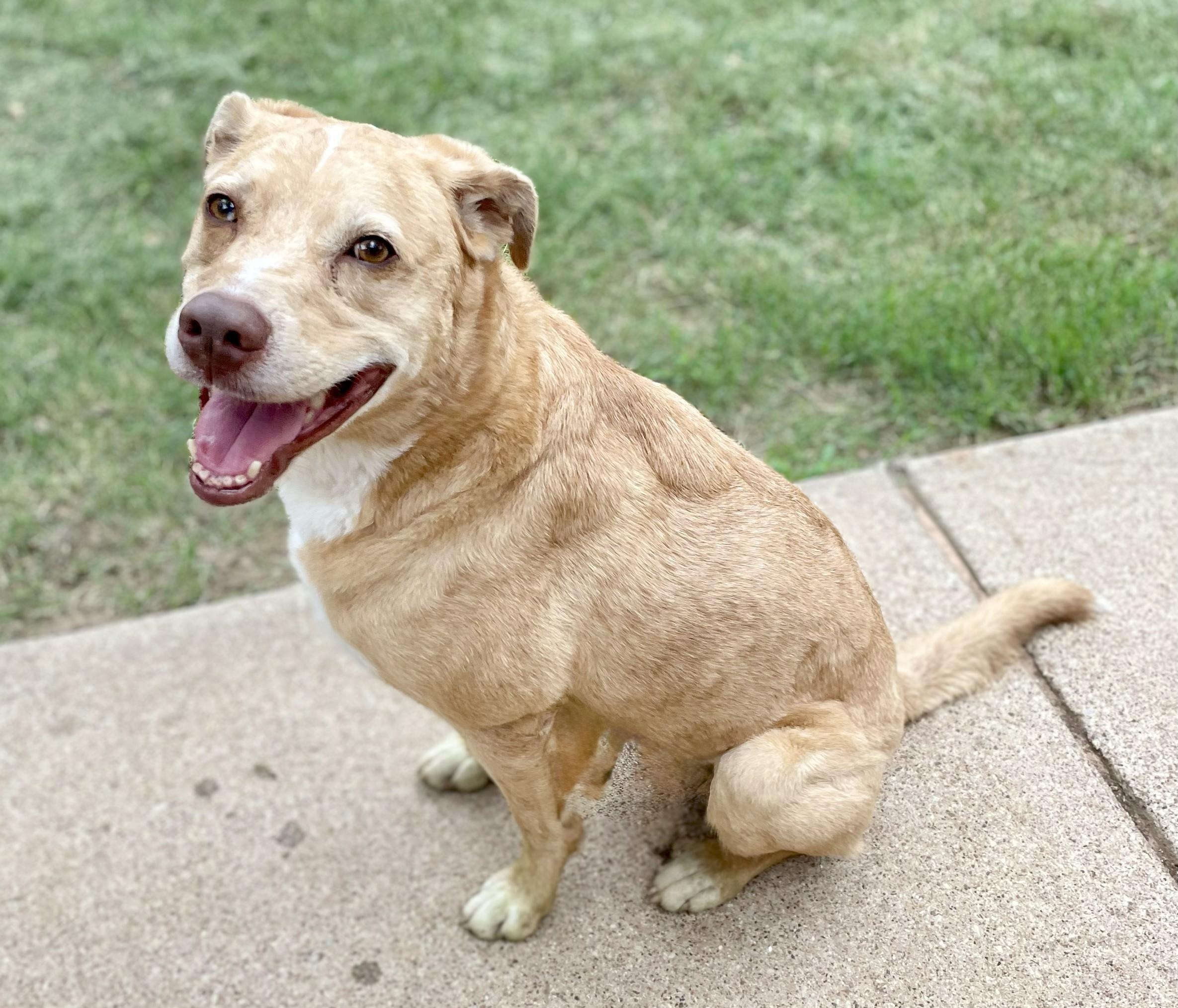 Copper