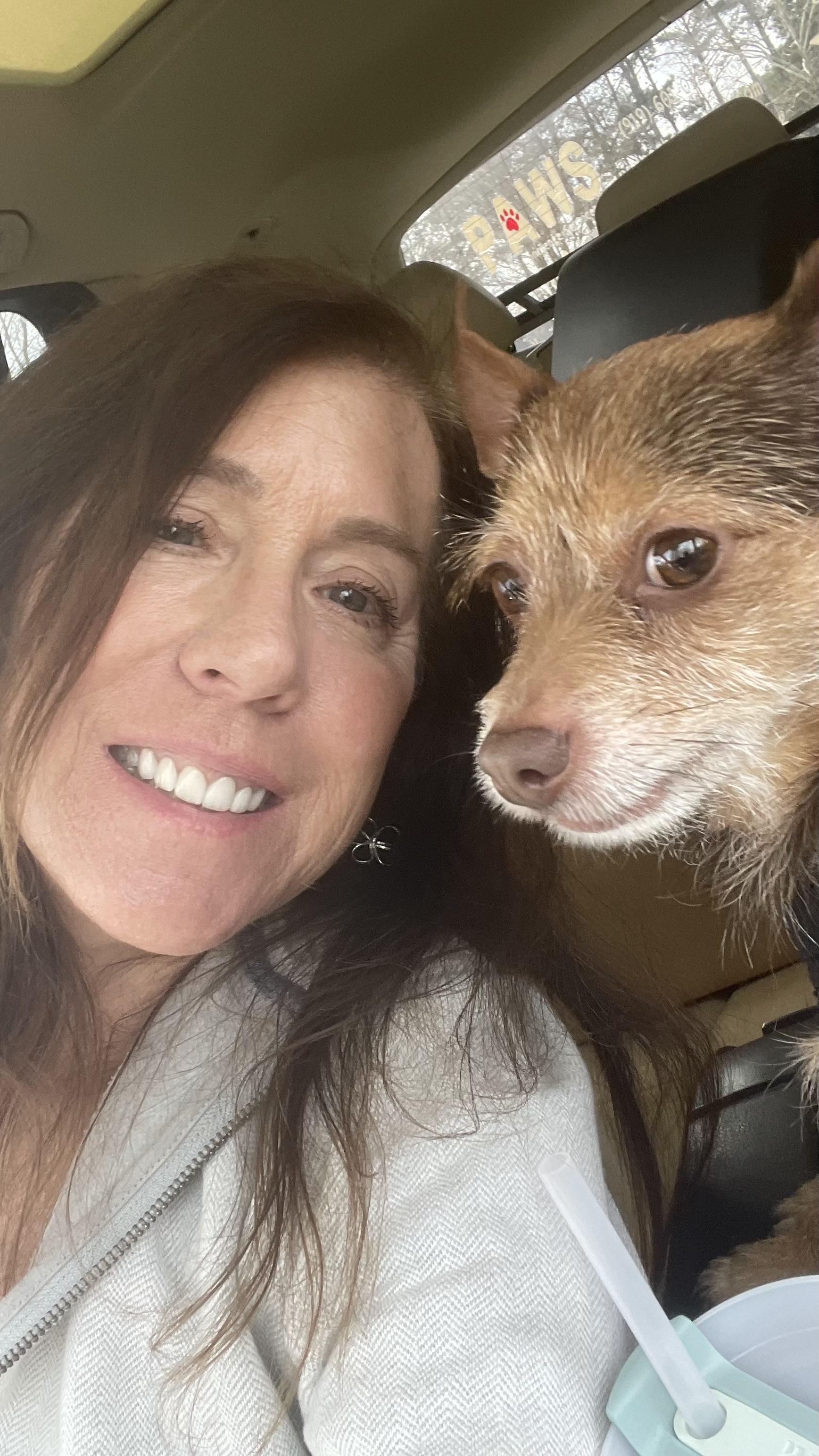 Enlarge Theodore, a Adoptable mixed breed in Cary, NC image 5/6