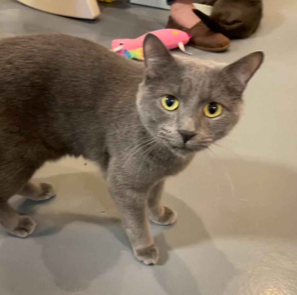 Beaumont — thumbnail 2