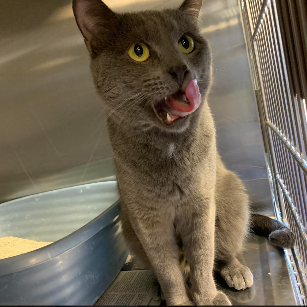 Beaumont — thumbnail 3