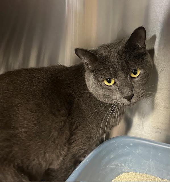 Beaumont — thumbnail 4