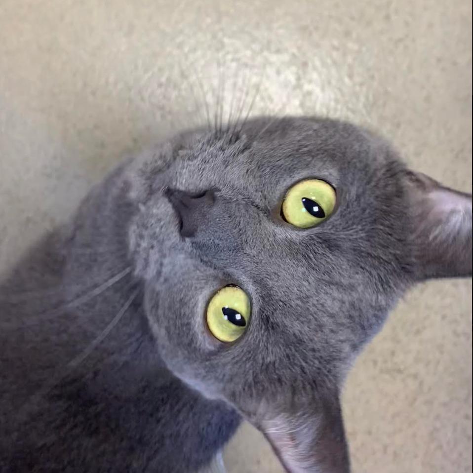 Beaumont — thumbnail 5