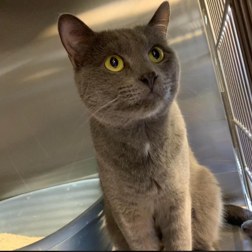 Beaumont — thumbnail 6