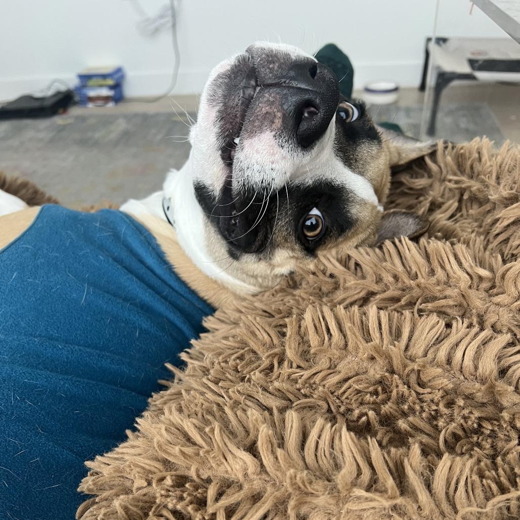 Apache Kid — thumbnail 5