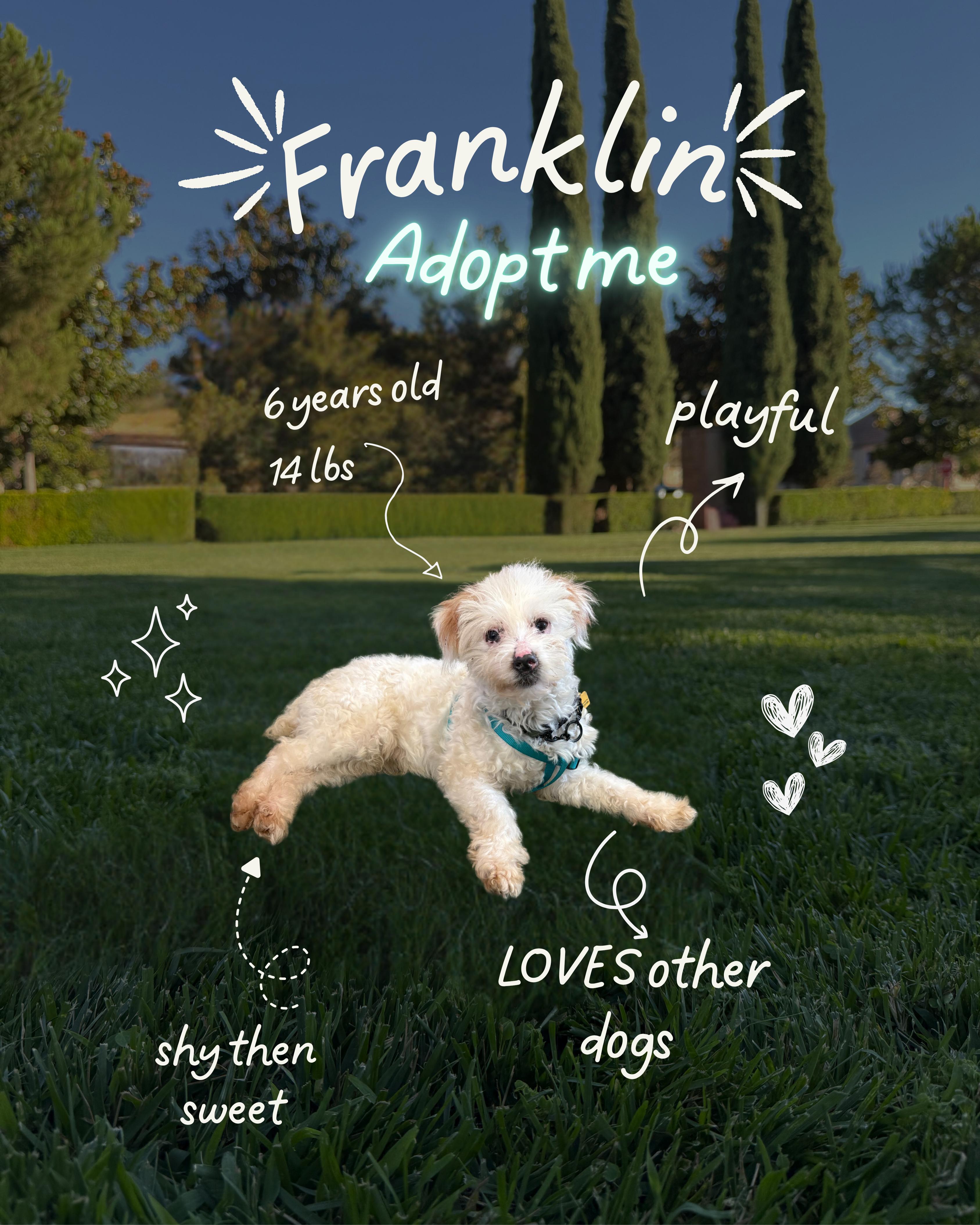 Franklin