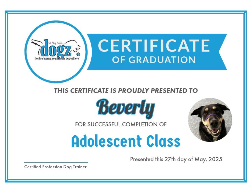 Enlarge Beverly Cleary, a Adoptable mixed breed in Reno, NV image 4/6