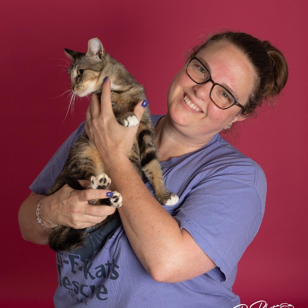 CiCi, Adoptable, Young Female Domestic Short Hair.