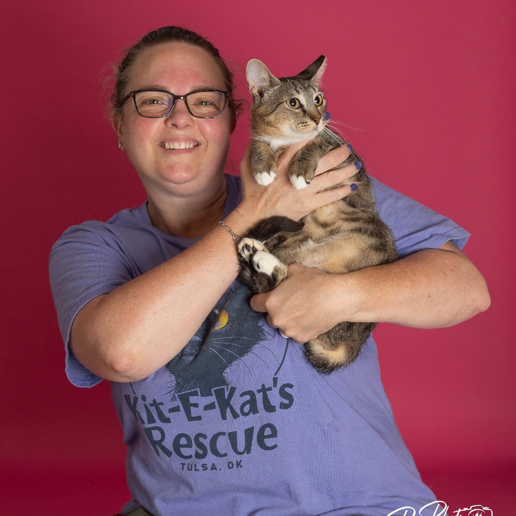 Enlarge CiCi, a Adoptable Domestic Short Hair in Tulsa, OK image 4/4