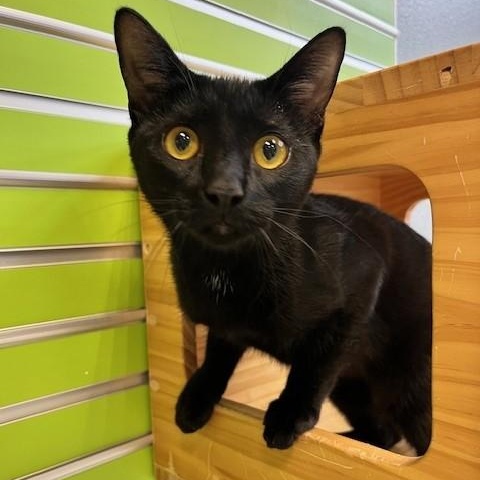 Dory — thumbnail 2