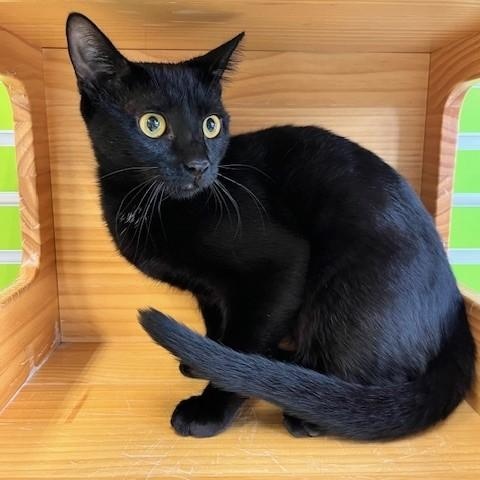 Dory — thumbnail 3