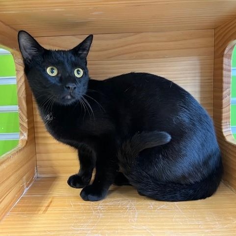 Dory — thumbnail 4