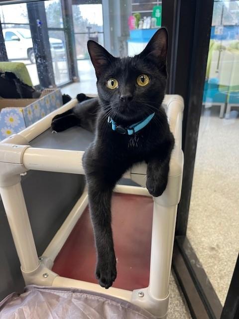 Dory — thumbnail 5