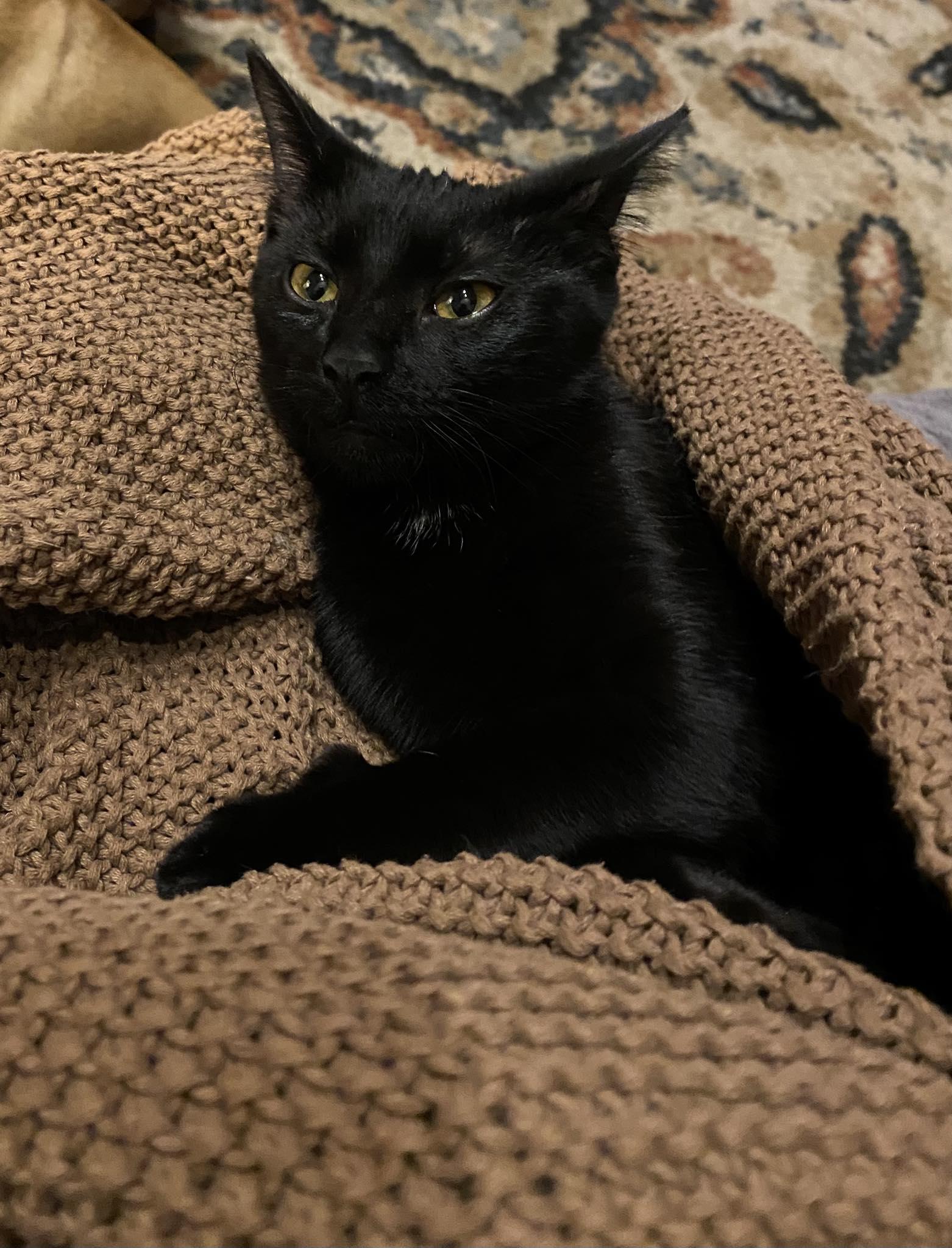 Dory — thumbnail 6