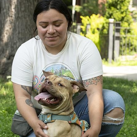 Enlarge Jerry, a Adoptable mixed breed in Chicago, IL image 4/6