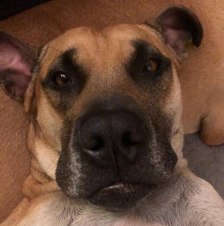 Sabrina Brandy thumbnail 3