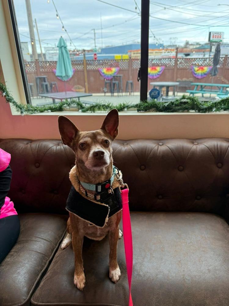 Grandma Rose thumbnail 2