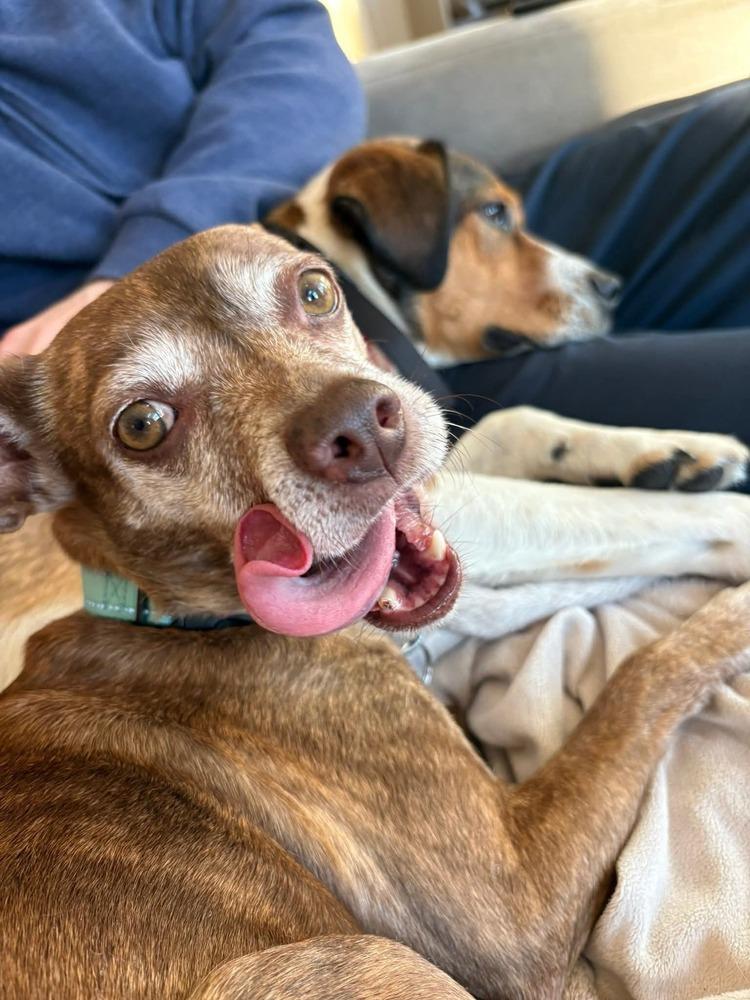 Grandma Rose thumbnail 6