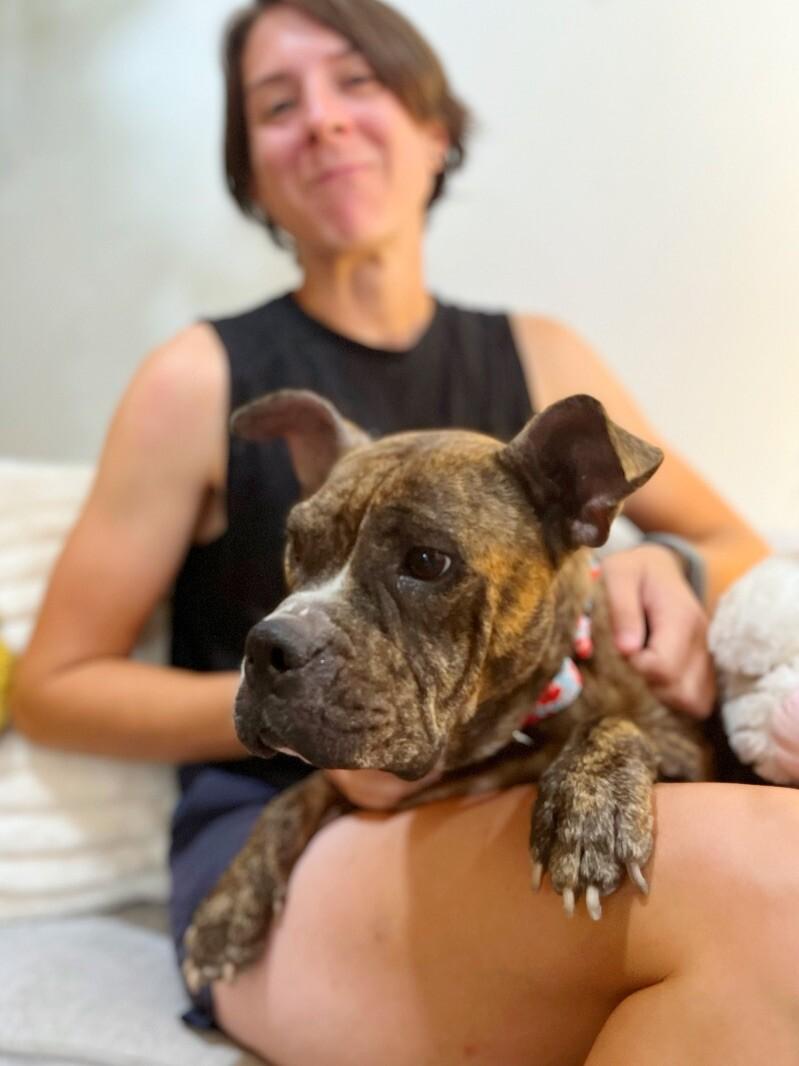 Apple Connie professional lovebug — thumbnail 4