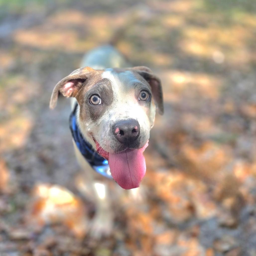 Casey — thumbnail 2