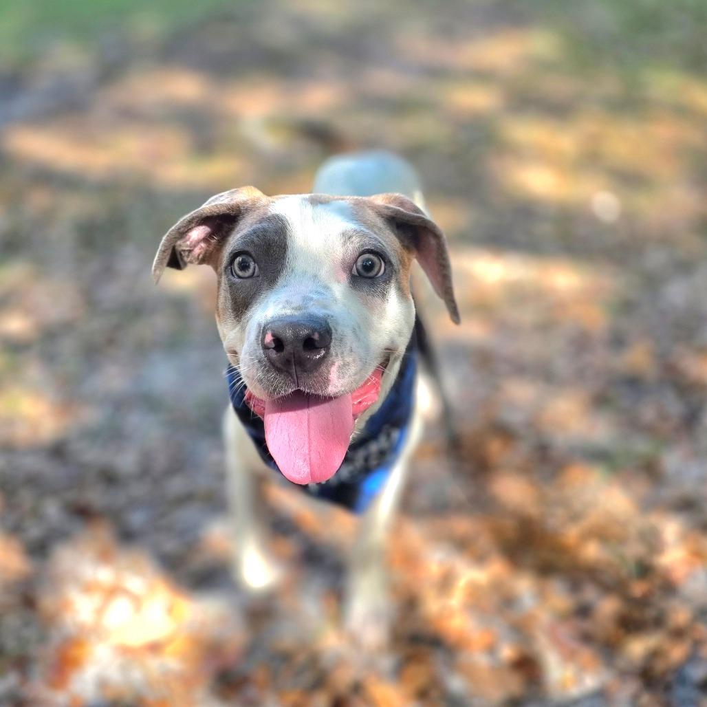 Casey — thumbnail 3