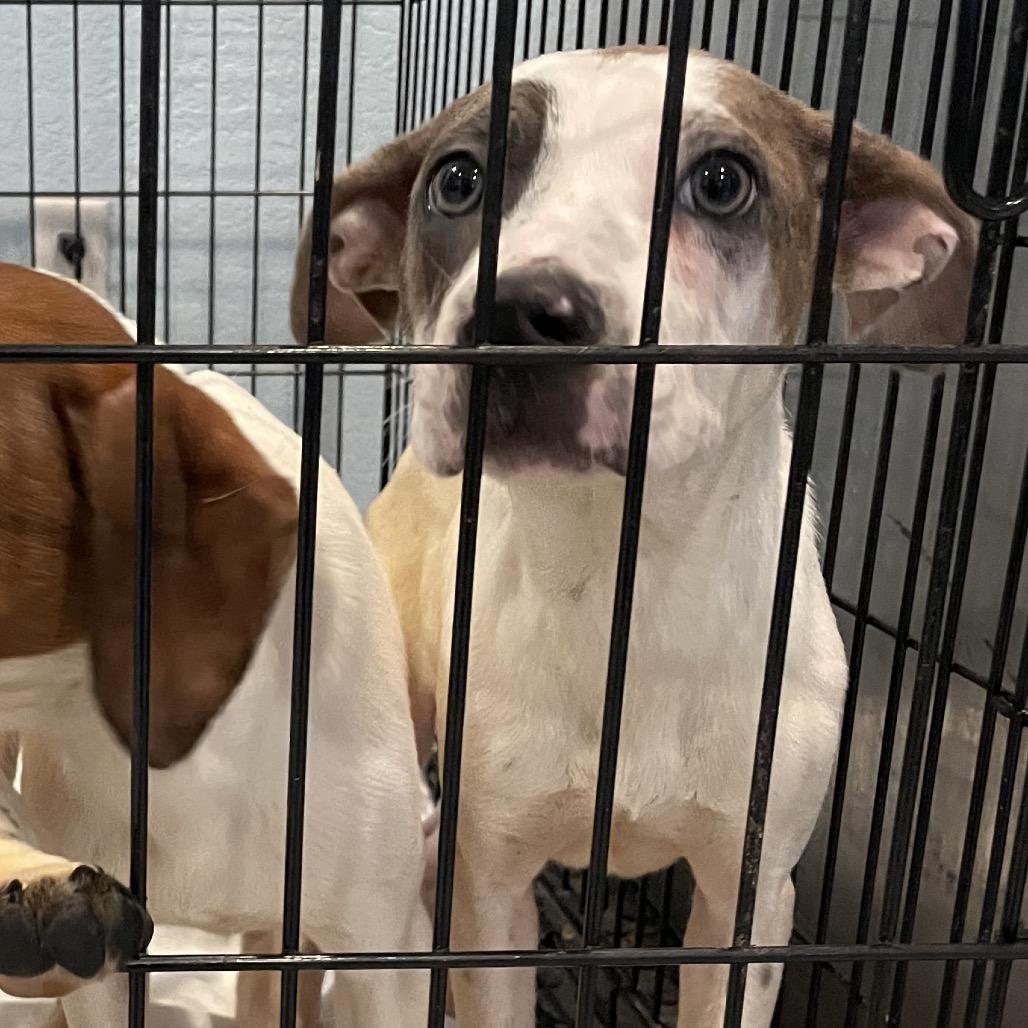 Casey — thumbnail 5