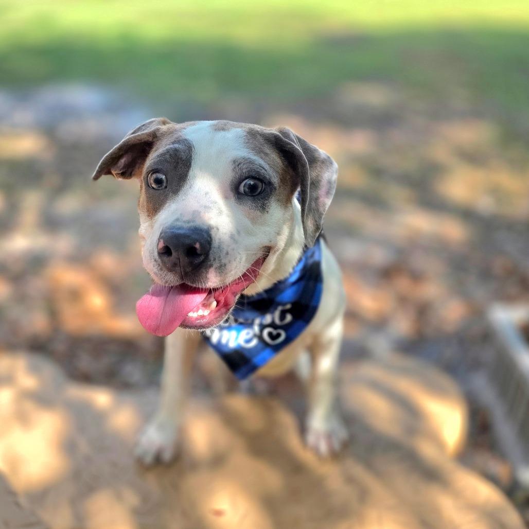 Casey — thumbnail 6