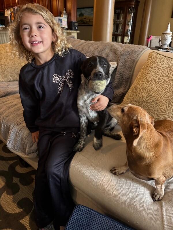 Chloe Silky thumbnail 4