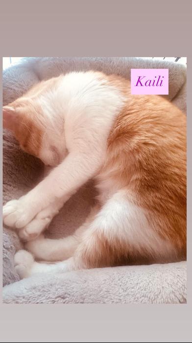 Kaili photo 4