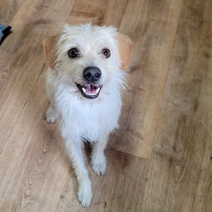 SAM
