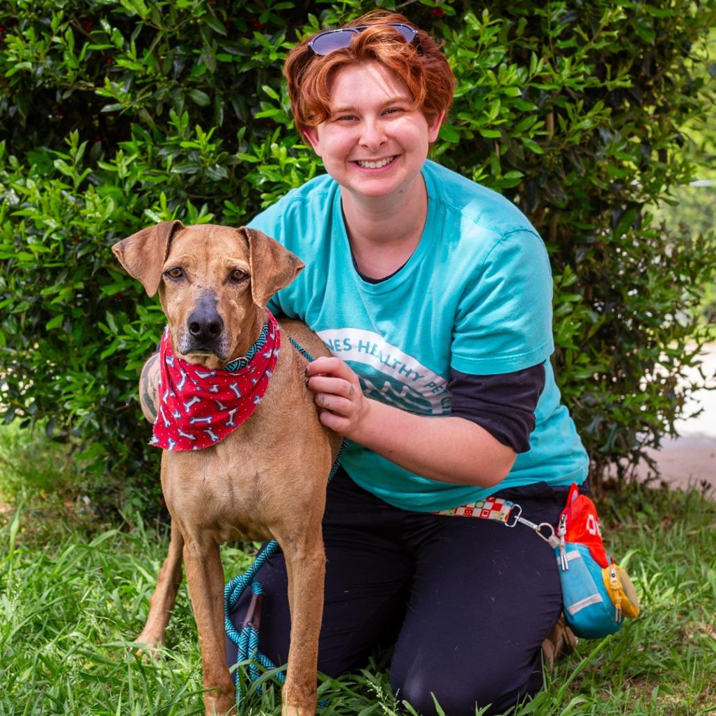 Enlarge Shirley Temple, a Adoptable mixed breed in Hattiesburg, MS image 6/6