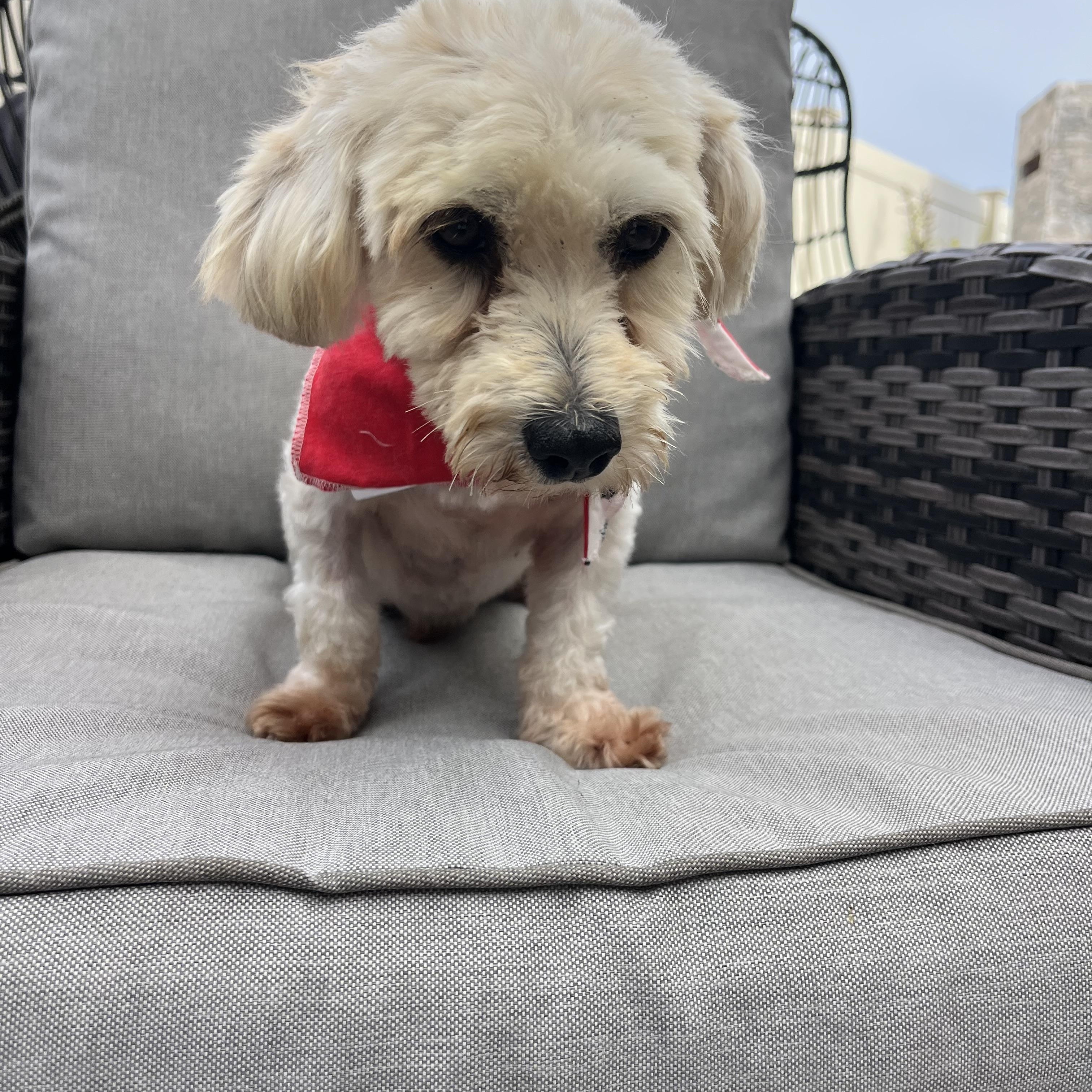 Leo