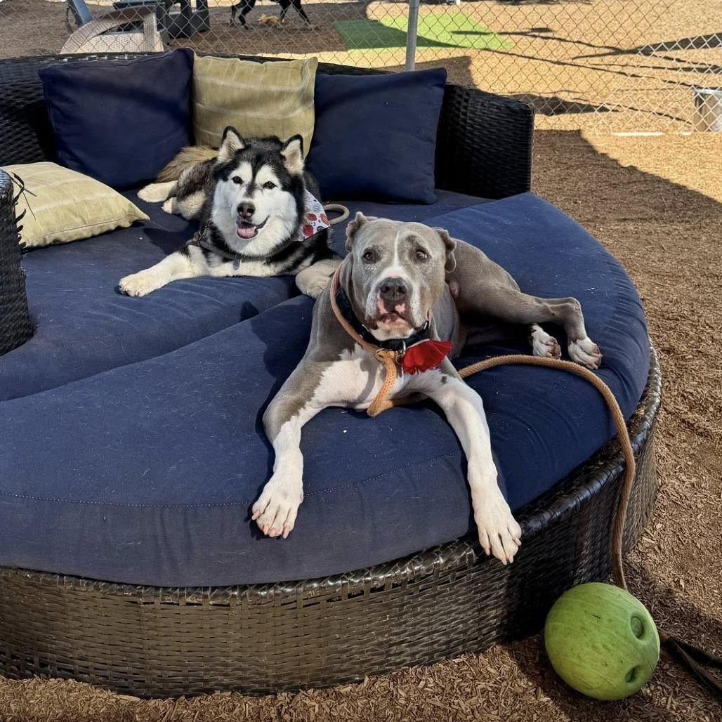 Zoey Honeymoon — thumbnail 4