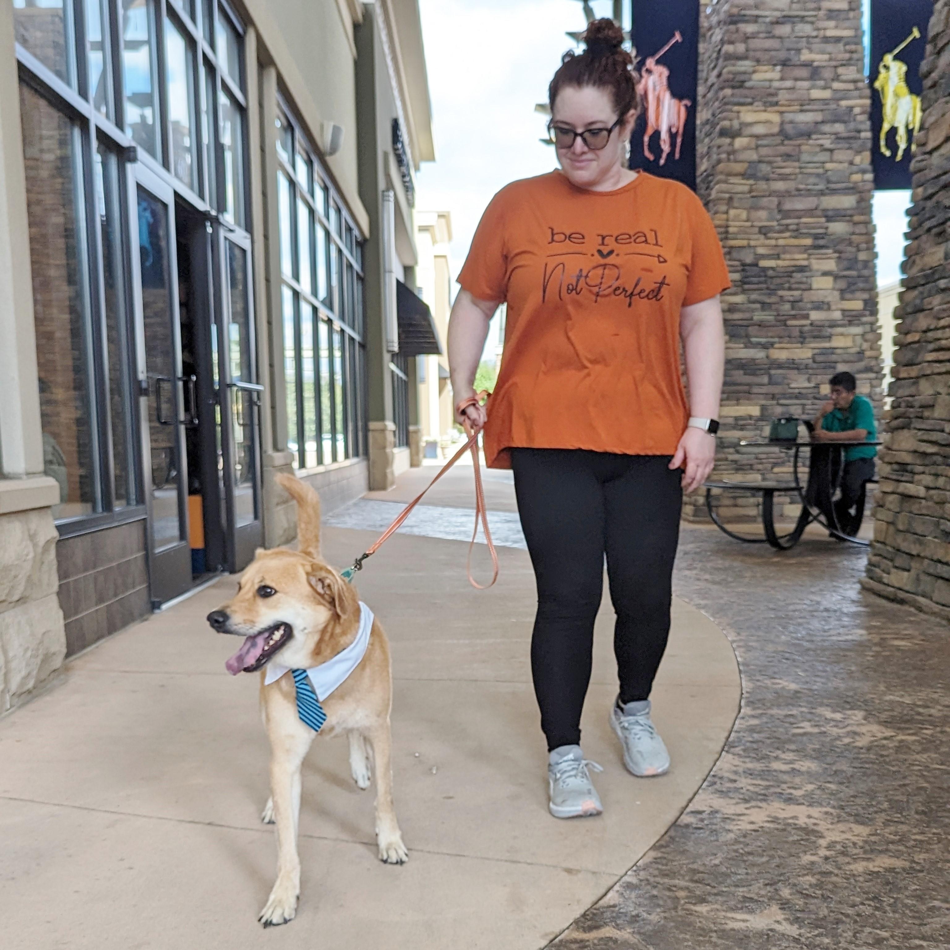 Enlarge Sunny, an adoptable mixed breed in Helena, AL image 3/6