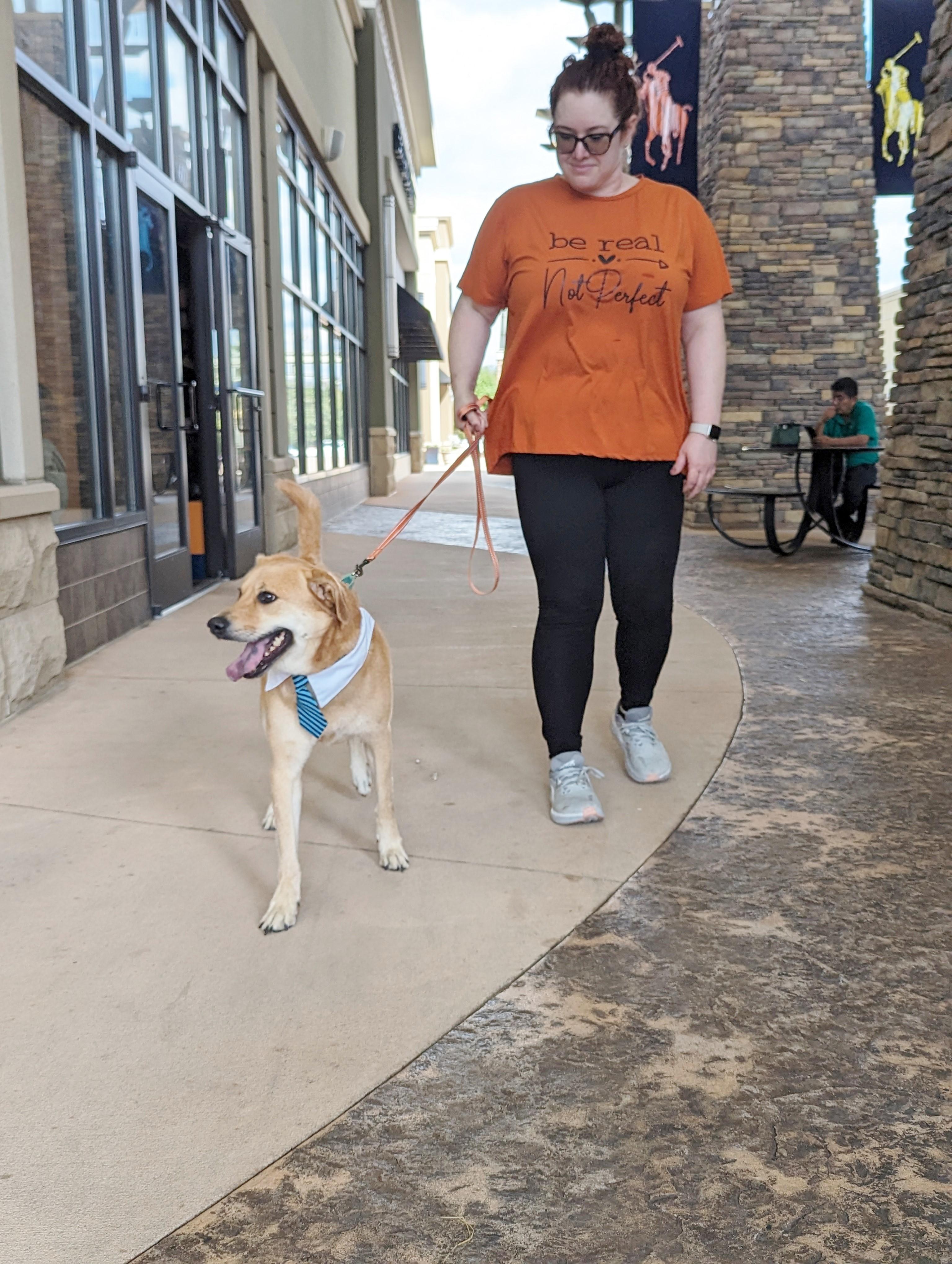 Sunny, an adoptable mixed breed in Helena, AL image 3/6