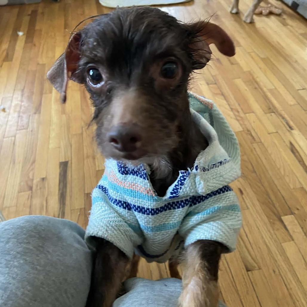 Raisen D thumbnail 2